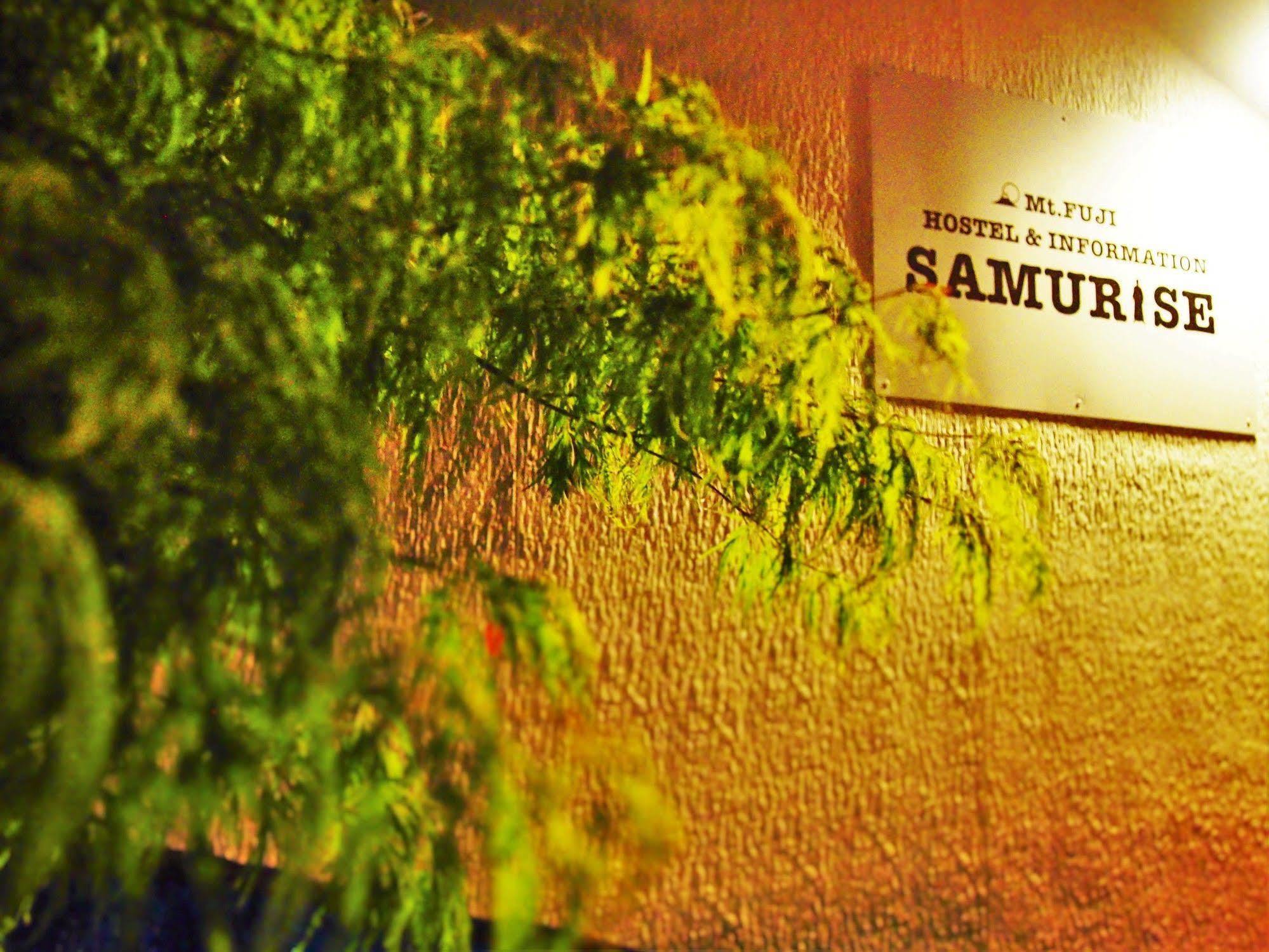 Hostel Samurise Mt Fuji Fujikawaguchiko Luaran gambar
